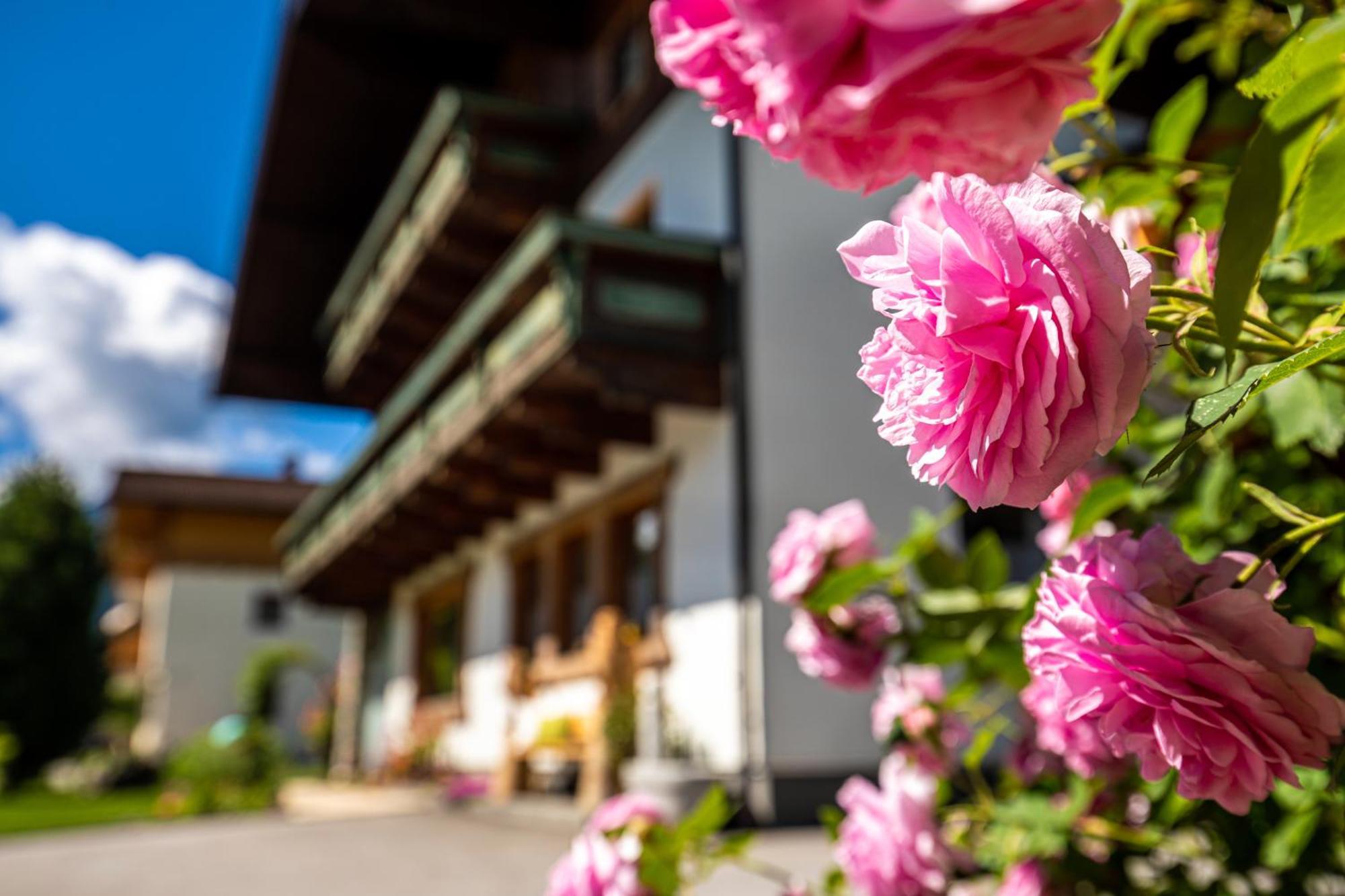 Holiday Im Gaestehaus Warter In Altenmarkt Altenmarkt im Pongau Eksteriør bilde