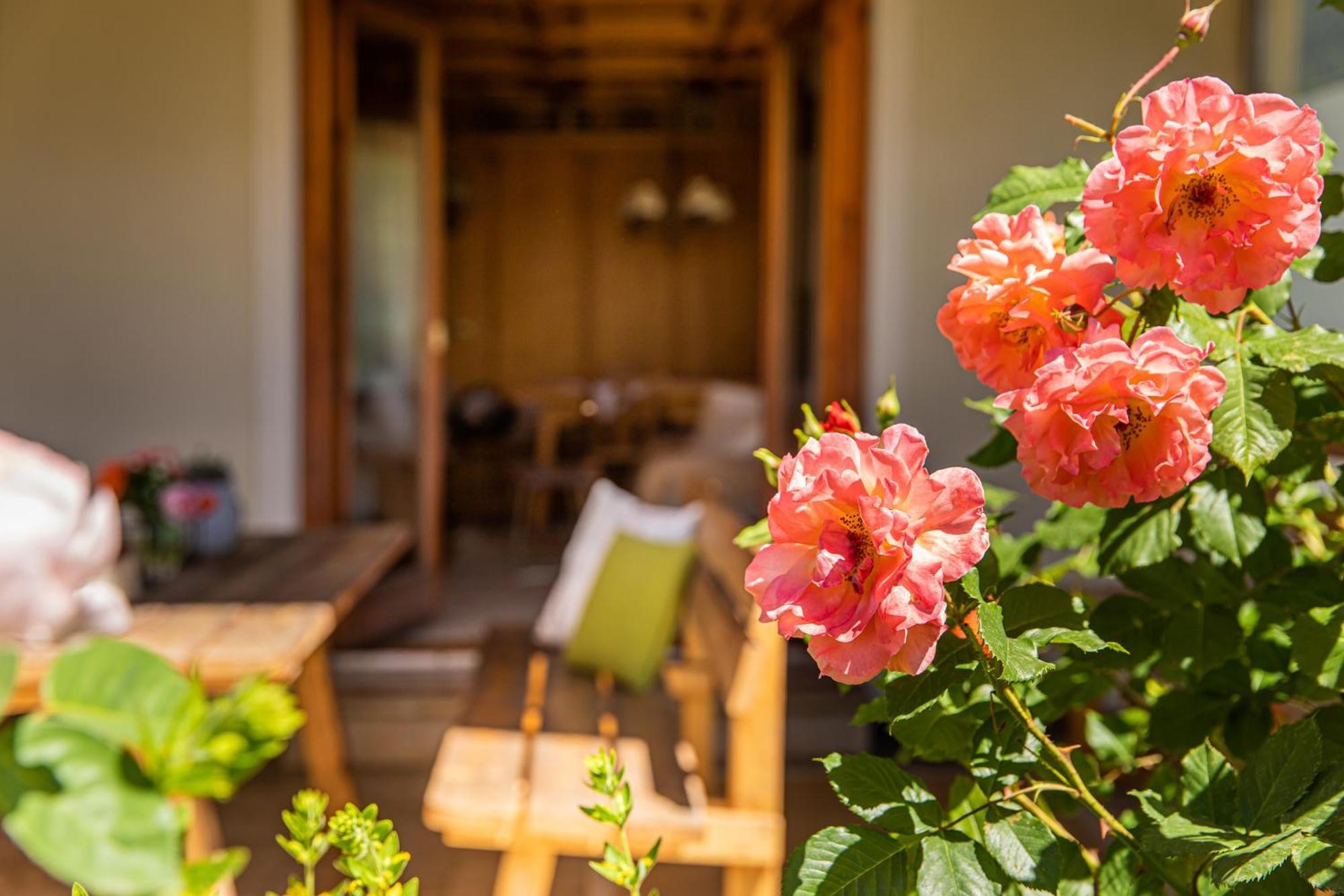 Holiday Im Gaestehaus Warter In Altenmarkt Altenmarkt im Pongau Eksteriør bilde